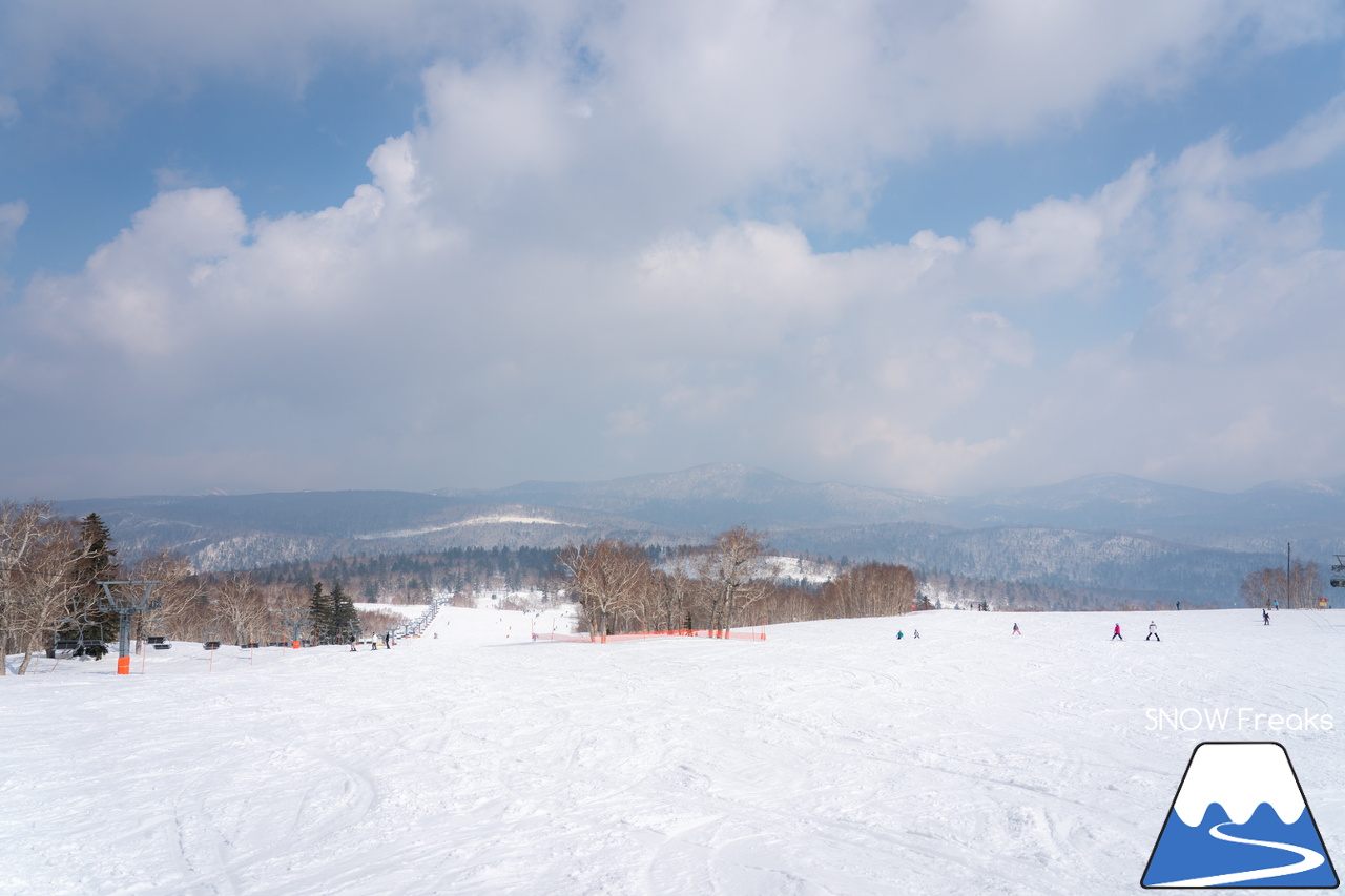 札幌国際スキー場｜さすが『KOKUSAI』！春シーズンも安泰の豊富な積雪で、まだまだ余裕で全面滑走可能です(^^)v